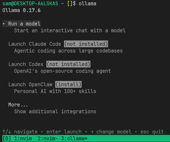 ollama cli